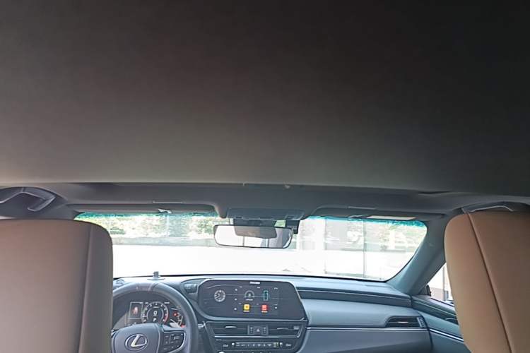 Used Lexus ES 2021 260 Excellence Edition Headliner