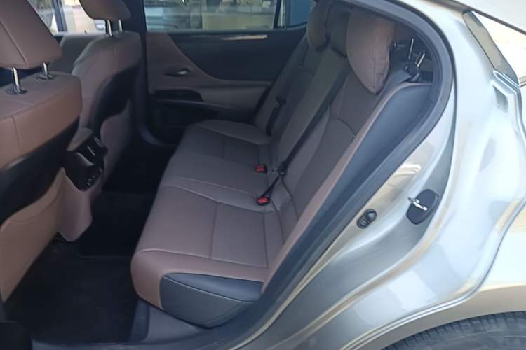 Used Lexus ES 2021 260 Excellence Edition Left Rear Seat