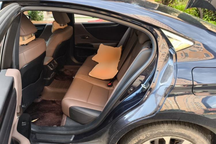 Used Lexus ES 2021 200 Excellence Edition Left Rear Seat