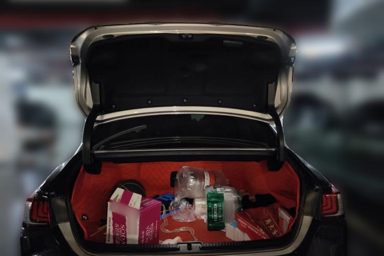 Used Lexus ES 2021 200 Excellence Edition Trunk