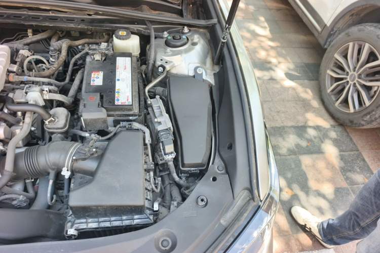 Used Lexus ES 2021 200 Excellence Edition Engine Bay Left