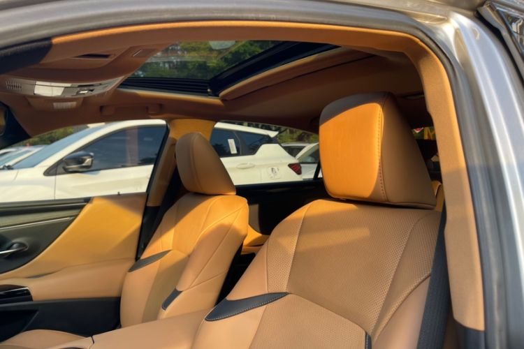 Used Lexus ES 2021 260 Excellence Edition Headliner