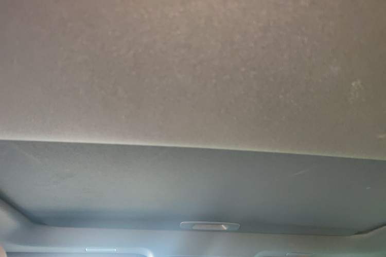 Used Lexus ES 2021 200 Excellence Edition Headliner