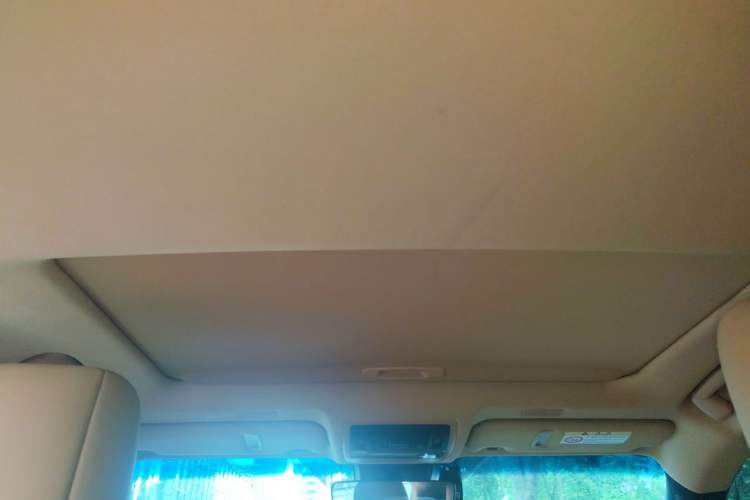 Used Lexus ES 2021 200 Excellence Edition Headliner