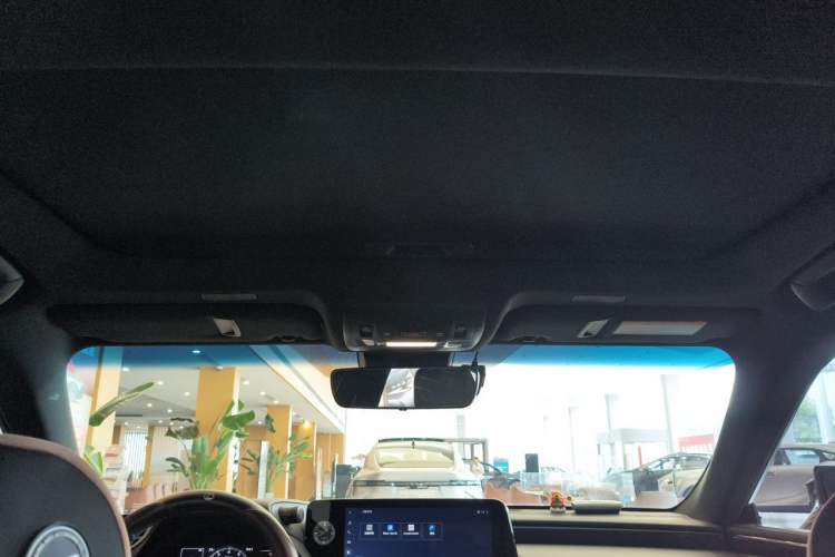 Used Lexus ES 2021 200 Excellence Edition Headliner