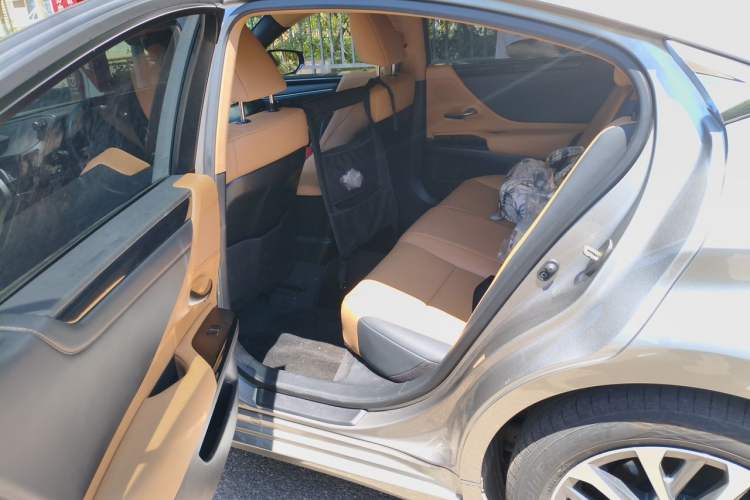 Used Lexus ES 2021 200 Excellence Edition Left Rear Seat