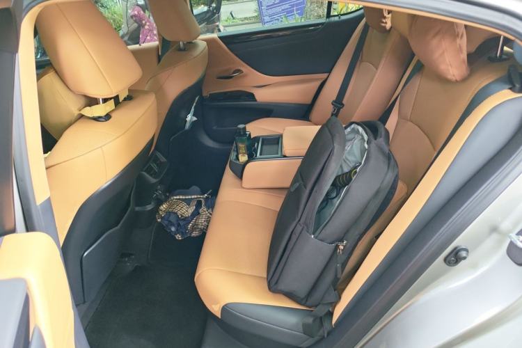 Used Lexus ES 2021 300h Excellence Edition Left Rear Seat