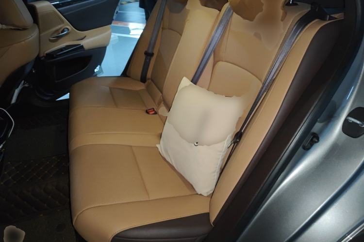 Used Lexus ES 2021 300h Excellence Edition Left Rear Seat