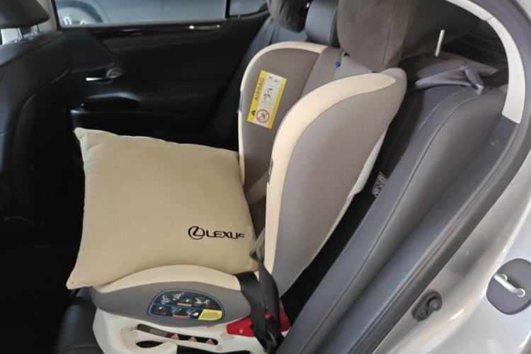 Used Lexus ES 2021 300h Excellence Edition Left Rear Seat