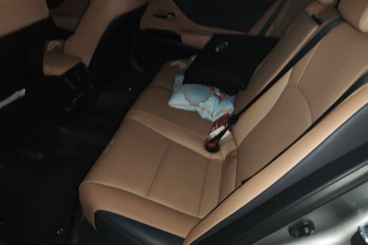 Used Lexus ES 2021 260 Excellence Edition Left Rear Seat