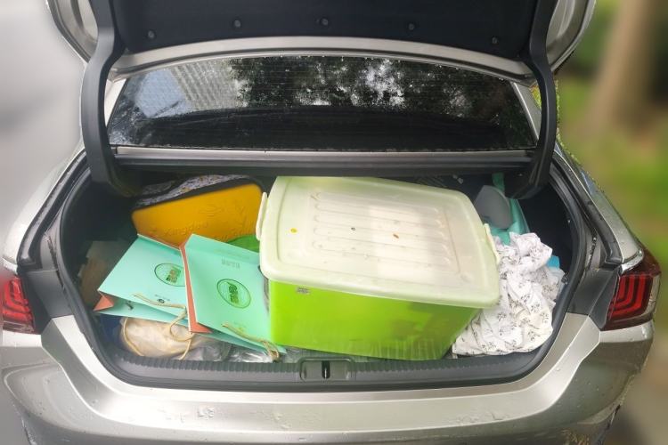 Used Lexus ES 2021 200 Excellence Edition Trunk