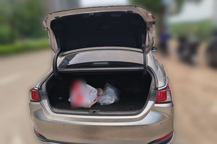 Used Lexus ES 2021 300h Deluxe Edition Trunk