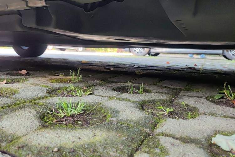 Used Lexus ES 2021 200 Excellence Edition Chassis Rear Left