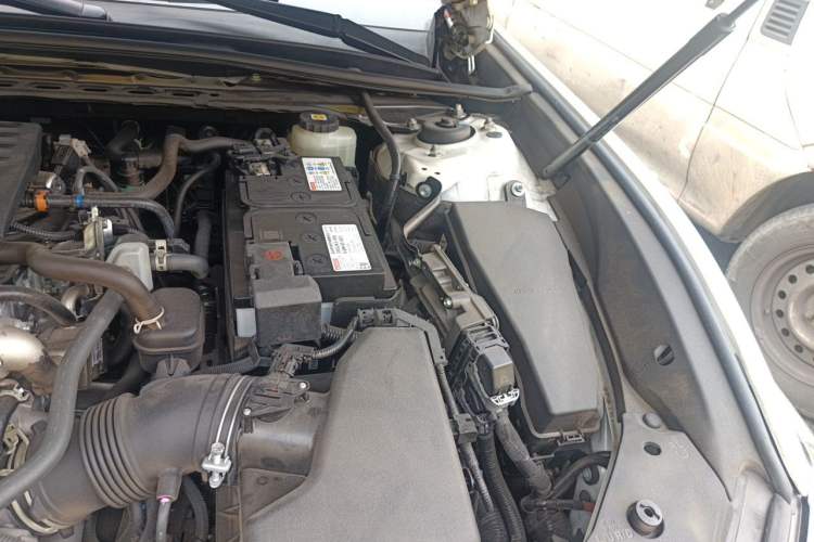 Used Lexus ES 2021 260 Excellence Edition Engine Bay Left