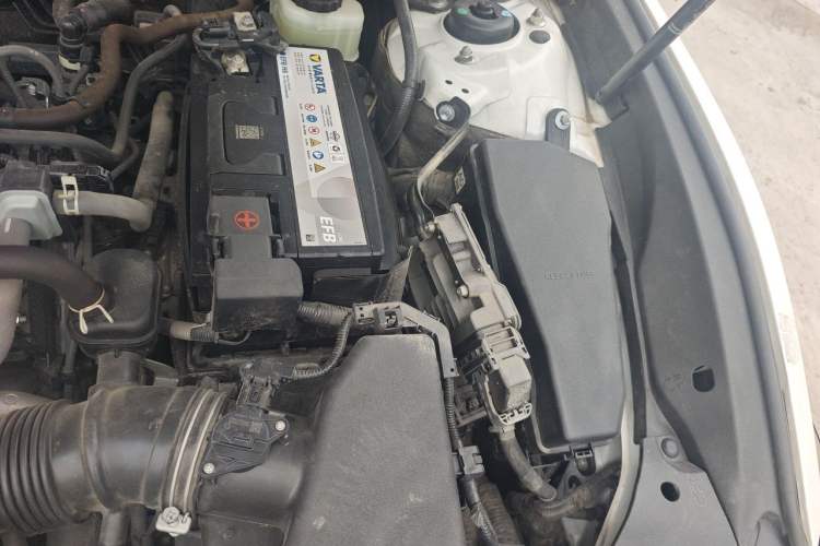 Used Lexus ES 2021 200 Excellence Edition Engine Bay Left