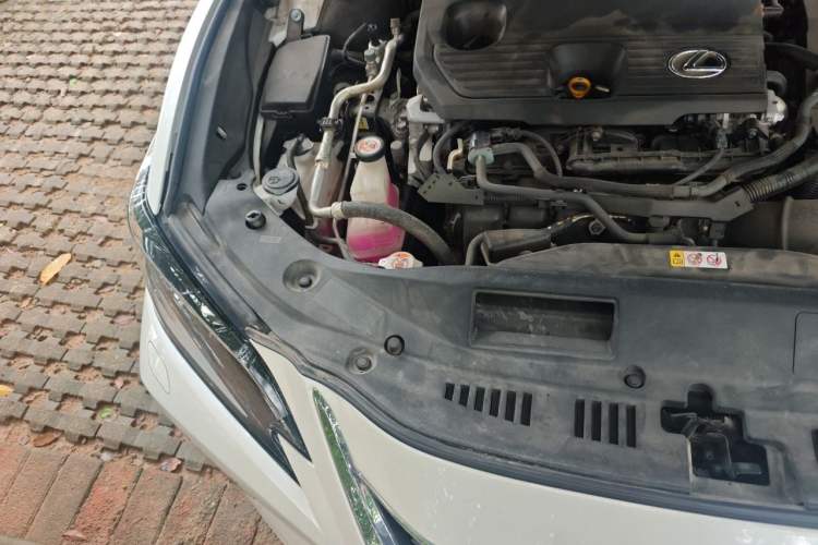 Used Lexus ES 2021 300h Deluxe Edition Engine Bay Right