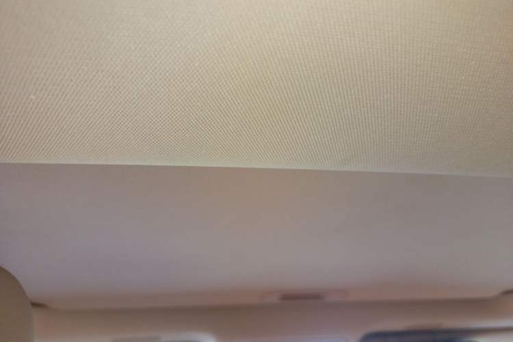 Used Lexus ES 2021 260 Excellence Edition Headliner