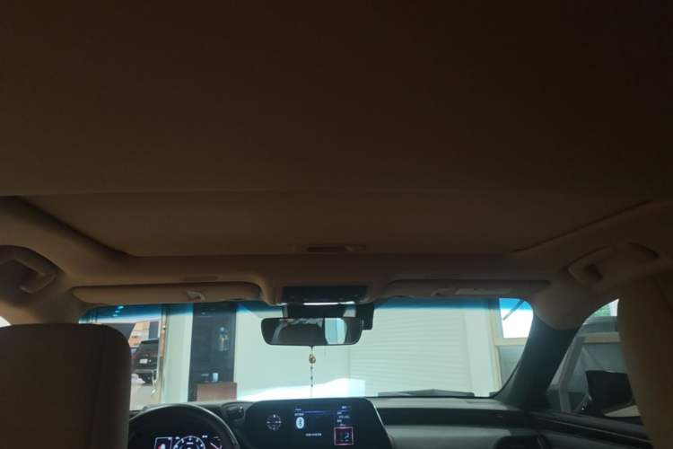 Used Lexus ES 2021 200 Excellence Edition Headliner