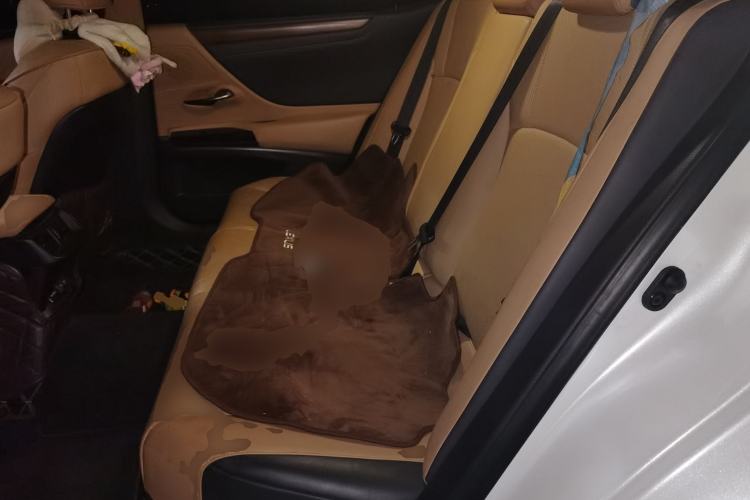 Used Lexus ES 2021 200 Luxury Edition Left Rear Seat