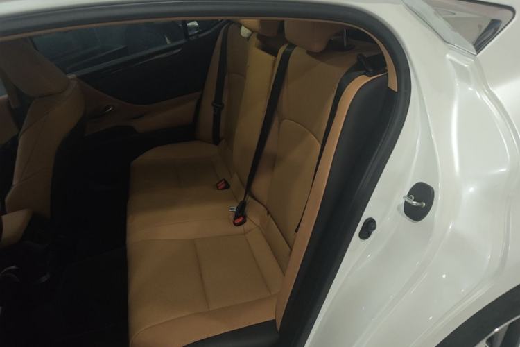 Used Lexus ES 2021 200 Excellence Edition Left Rear Seat
