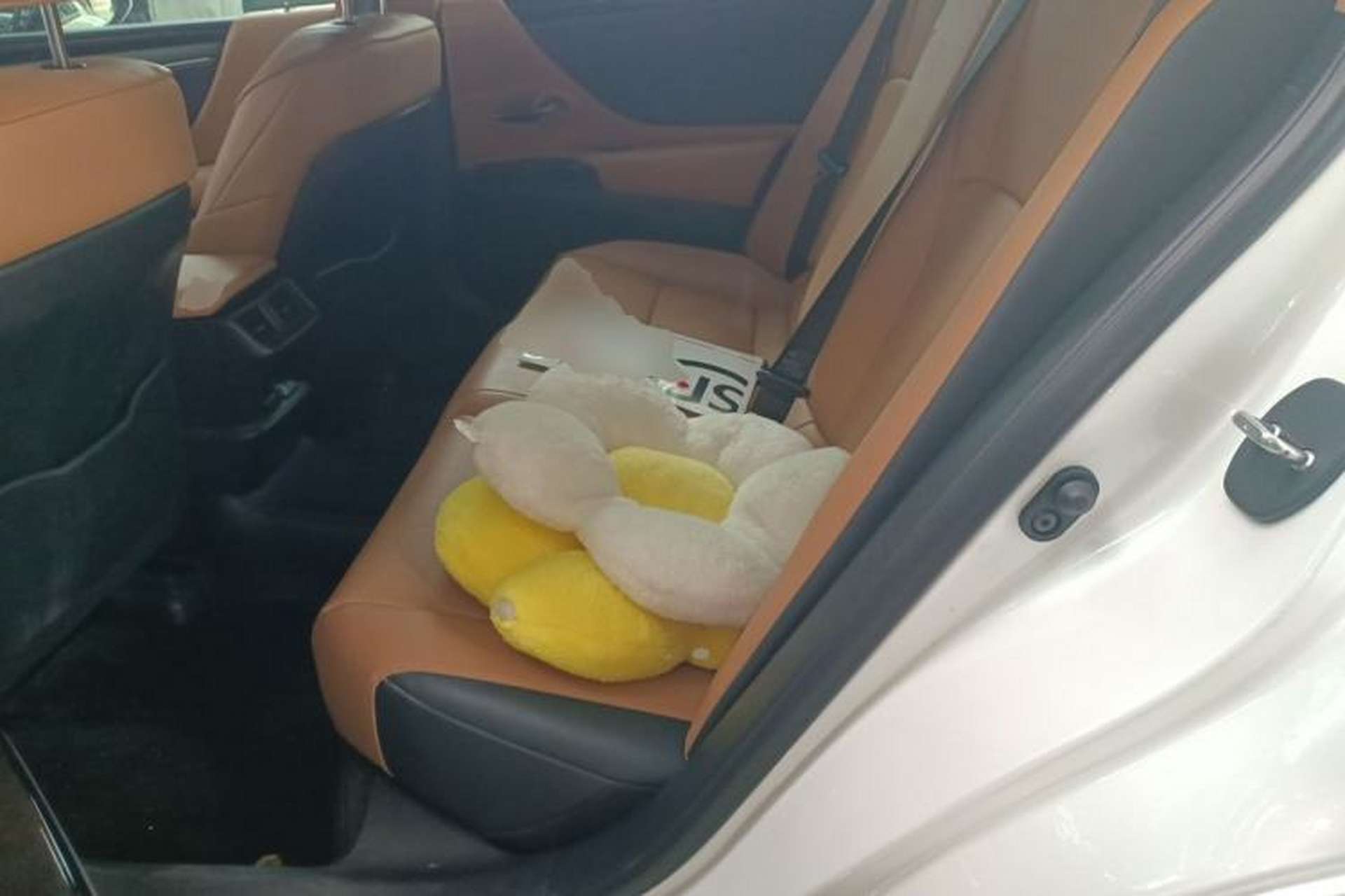 Used Lexus ES 2021 200 Excellence Edition Left Rear Seat