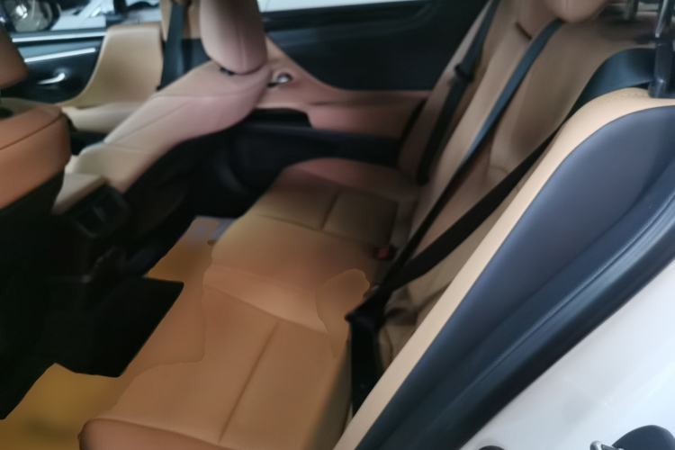 Used Lexus ES 2021 200 Excellence Edition Left Rear Seat