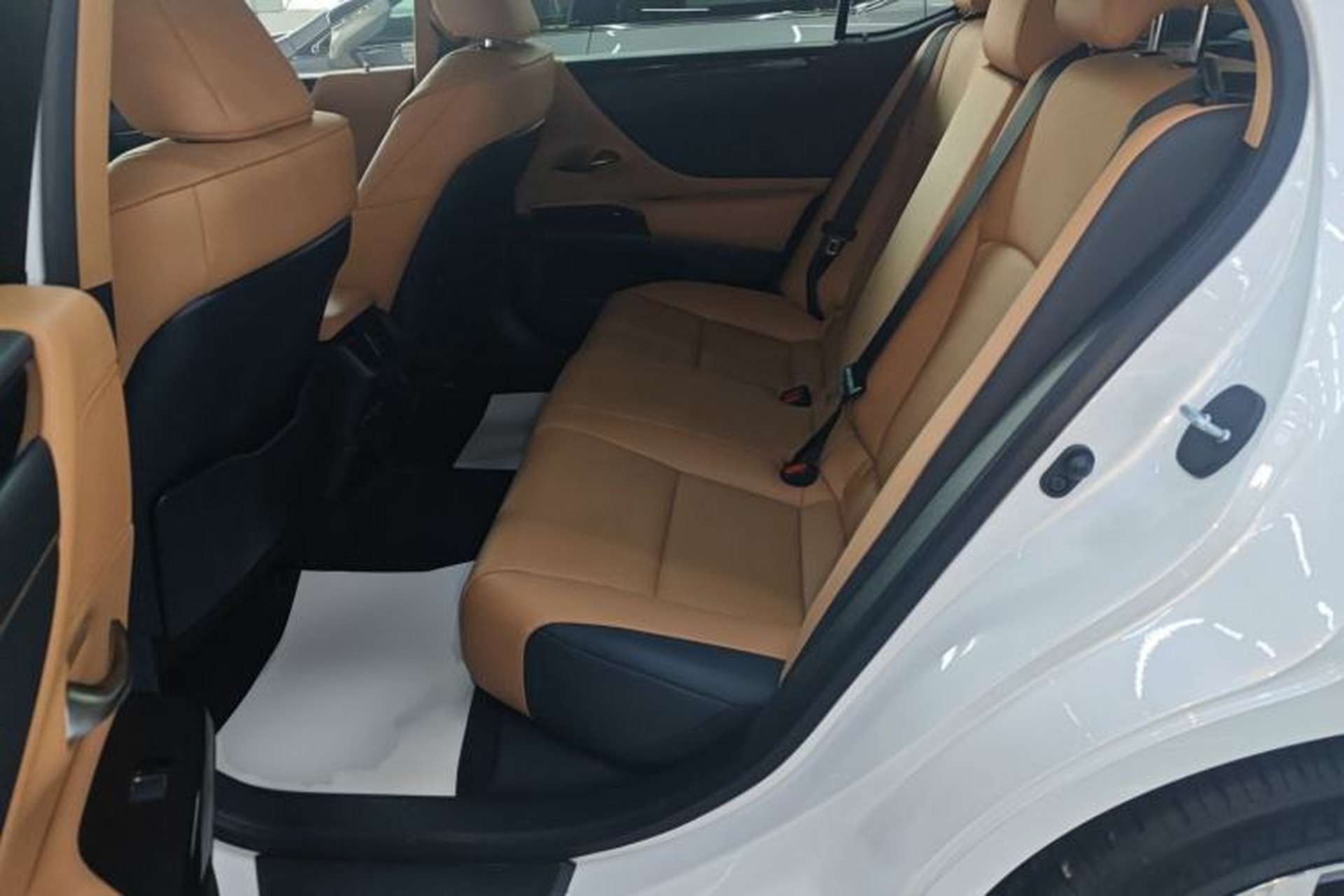 Used Lexus ES 2021 200 Excellence Edition Left Rear Seat
