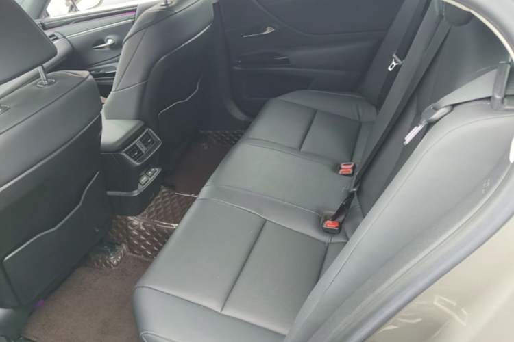 Used Lexus ES 2021 300h Excellence Edition Left Rear Seat
