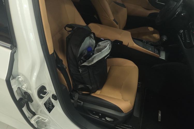 Used Lexus ES 2021 200 Excellence Edition Right Front Seat