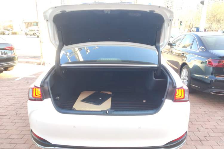 Used Lexus ES 2021 200 Excellence Edition Trunk