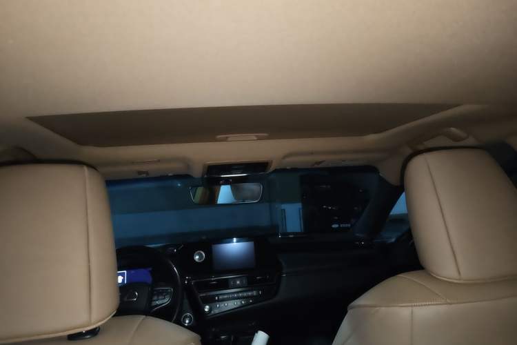 Used Lexus ES 2022 200 Excellence Edition Headliner