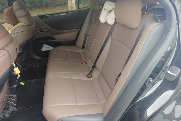 Used Lexus ES 2022 300h Excellence Edition Left Rear Seat