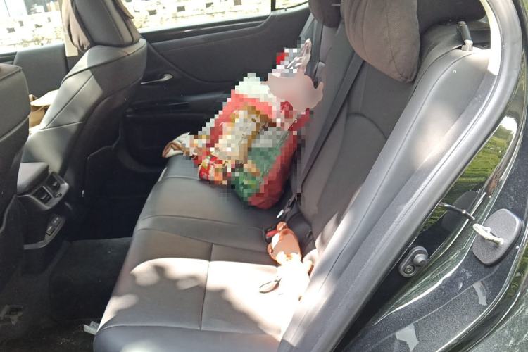 Used Lexus ES 2022 200 Excellence Edition Left Rear Seat