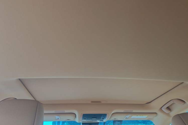 Used Lexus ES 2022 260 Excellence Edition Headliner