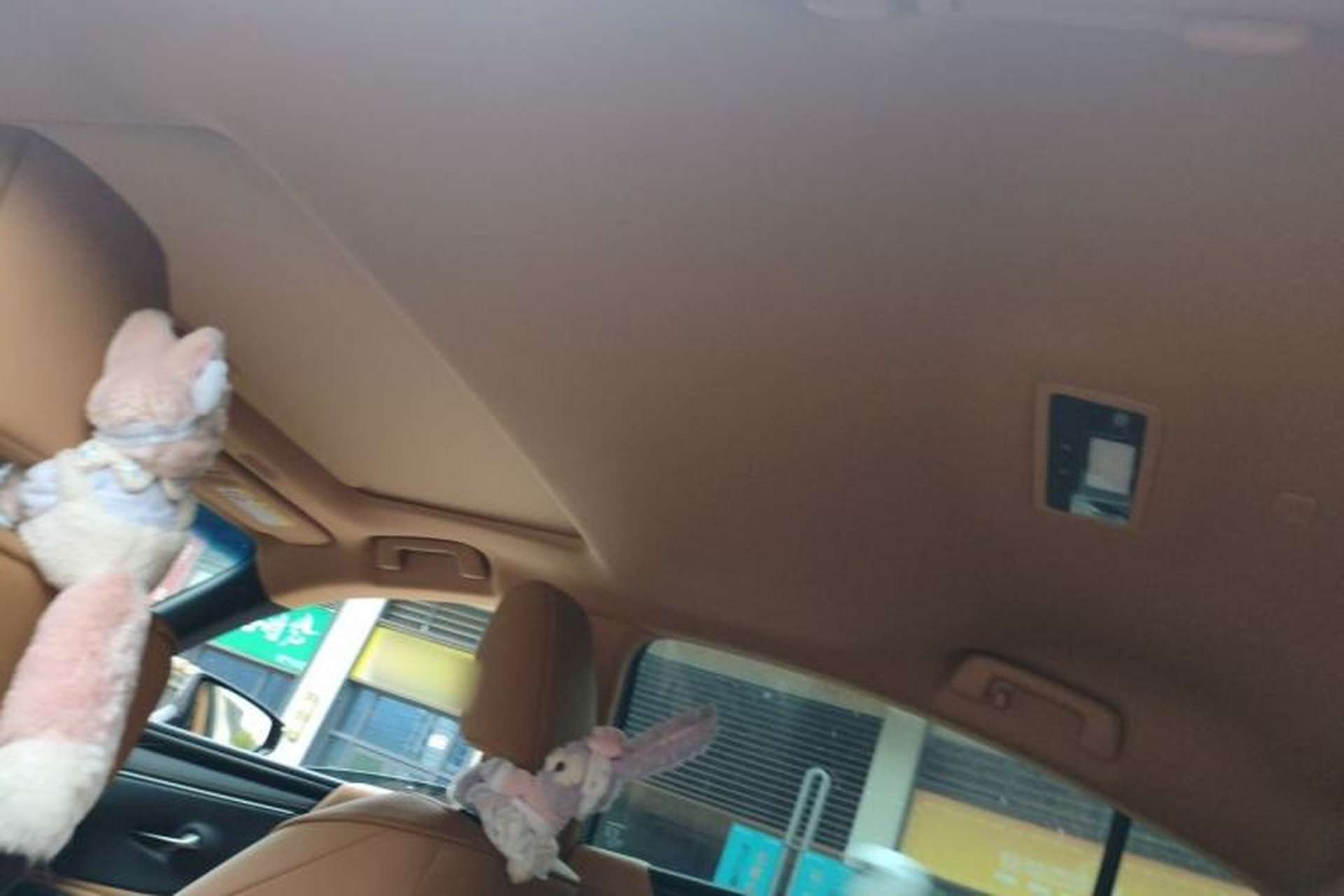 Used Lexus ES 2022 200 Excellence Edition Headliner