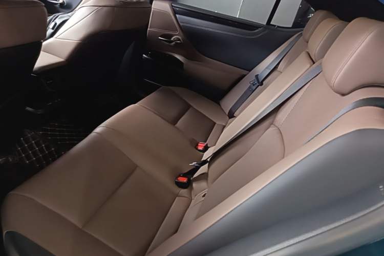 Used Lexus ES 2022 200 Excellence Edition Left Rear Seat