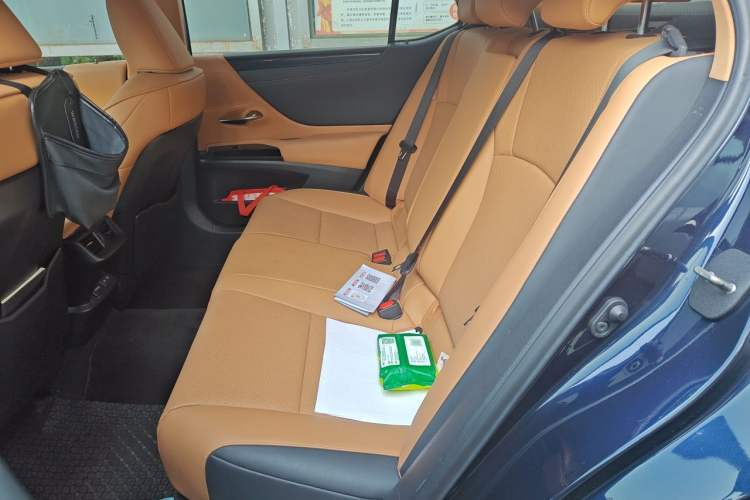 Used Lexus ES 2022 260 Excellence Edition Left Rear Seat