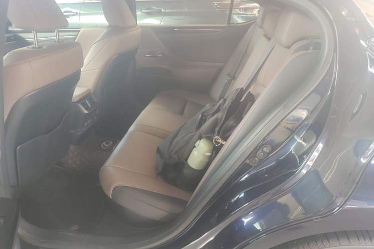 Used Lexus ES 2022 300h Excellence Edition Left Rear Seat