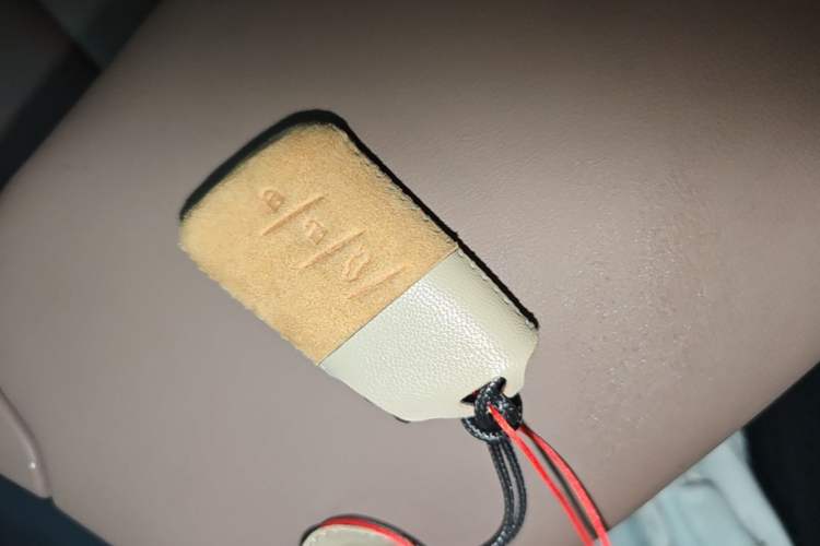 Used Lexus ES 2022 200 Excellence Edition Vehicle Key