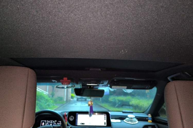 Used Lexus ES 2022 200 Excellence Edition Headliner