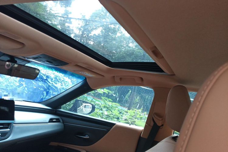 Used Lexus ES 2022 200 Excellence Edition Headliner