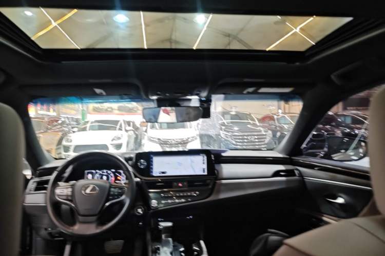 Used Lexus ES 2022 200 Excellence Edition Headliner