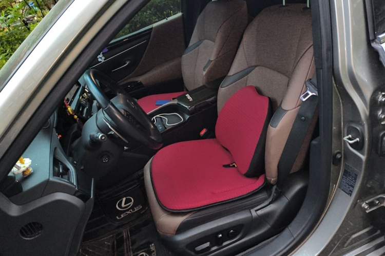Used Lexus ES 2022 200 Excellence Edition Left Front Seat