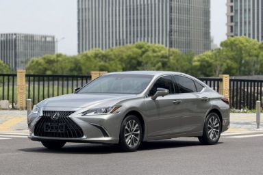 Used Lexus ES 2022 200 Excellence Edition
