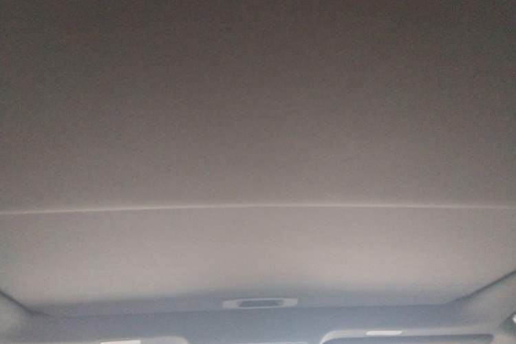 Used Lexus ES 2022 260 Excellence Edition Headliner
