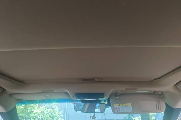 Used Lexus ES 2022 200 Luxury Edition Headliner