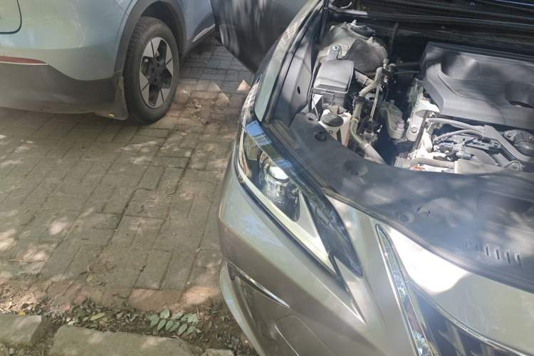 Used Lexus ES 2022 200 Luxury Edition Right Front Headlight