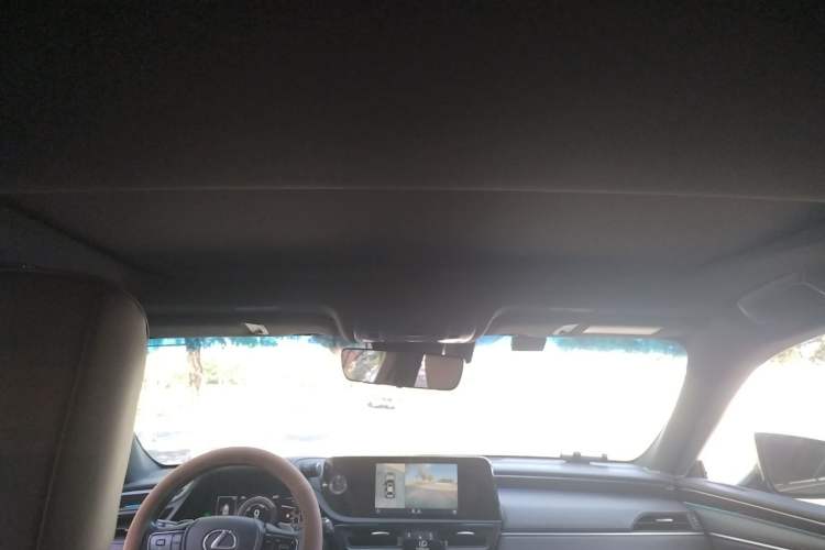 Used Lexus ES 2022 300h Excellence Edition Headliner