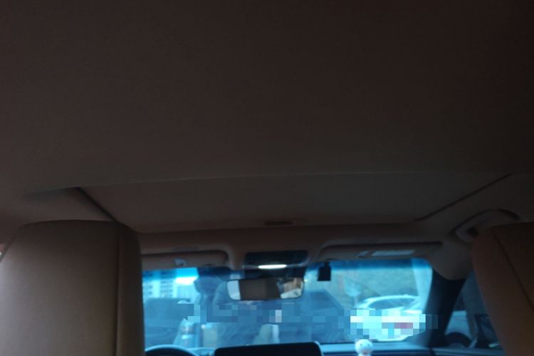 Used Lexus ES 2022 300h Deluxe Edition Headliner