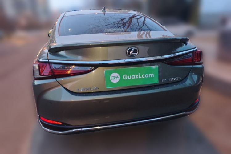 Used Lexus ES 2022 300h Deluxe Edition Rear